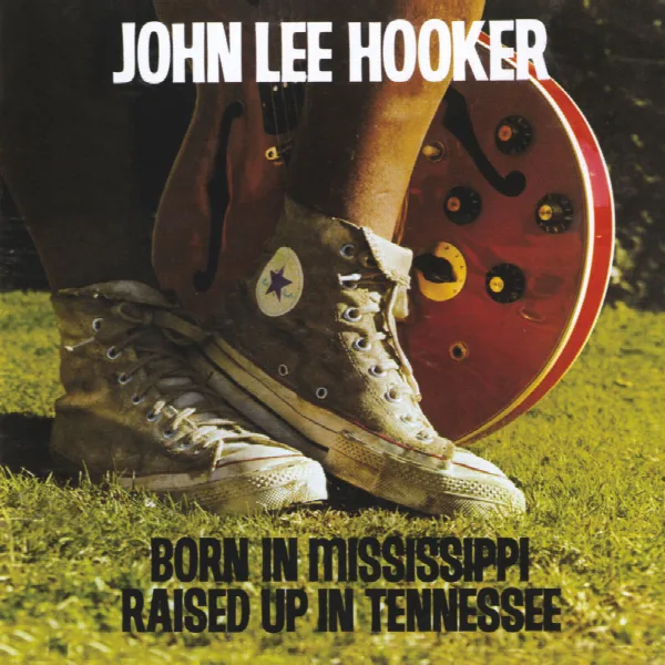 Pochette de Born In Mississippi, Raised Up In Tennessee