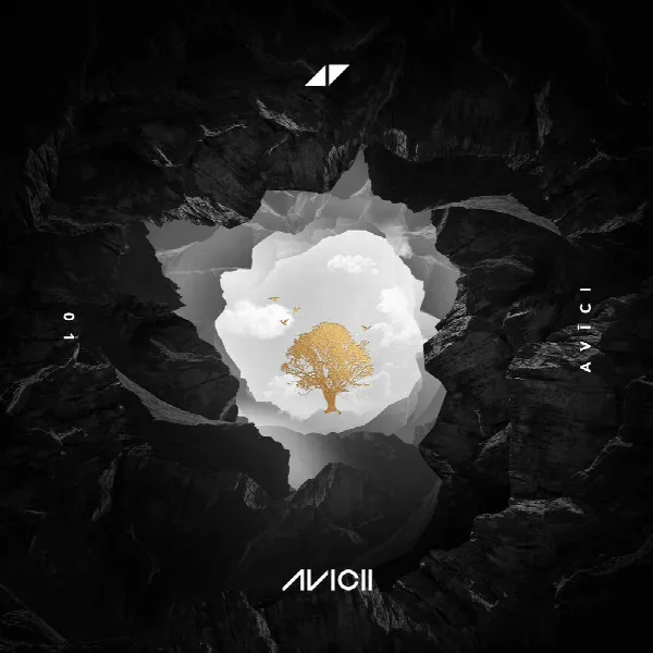 Pochette de AVĪCI (01)