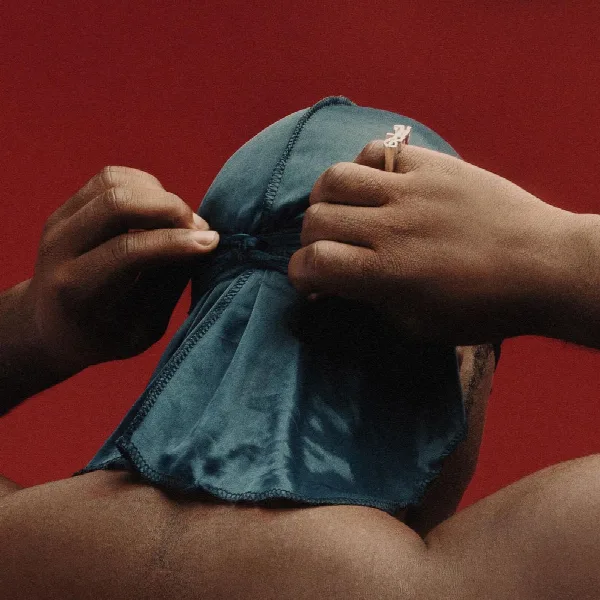 Pochette de Still Striving