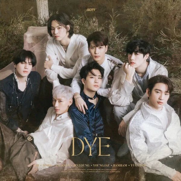 Pochette de DYE