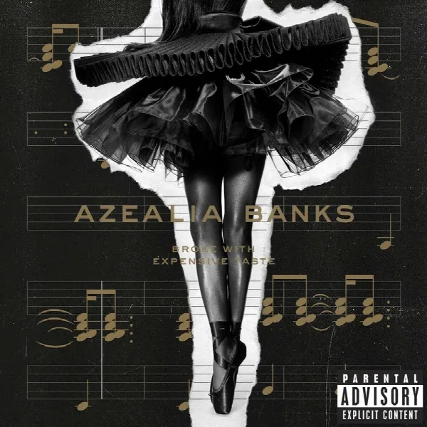 Pochette de Broke with Expensive Taste