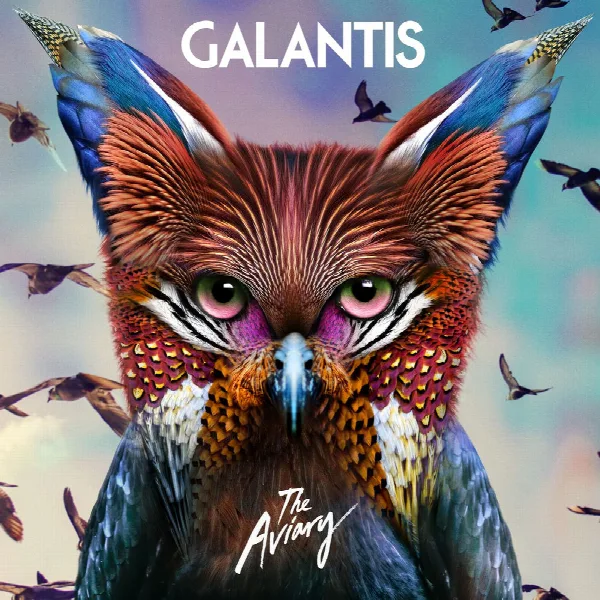 Pochette de The Aviary