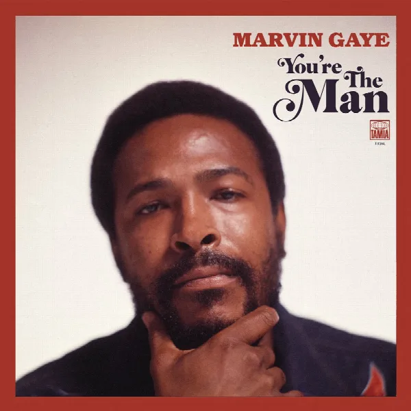 Pochette de You're The Man (Expanded Edition)
