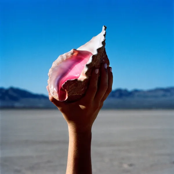 Pochette de Wonderful Wonderful