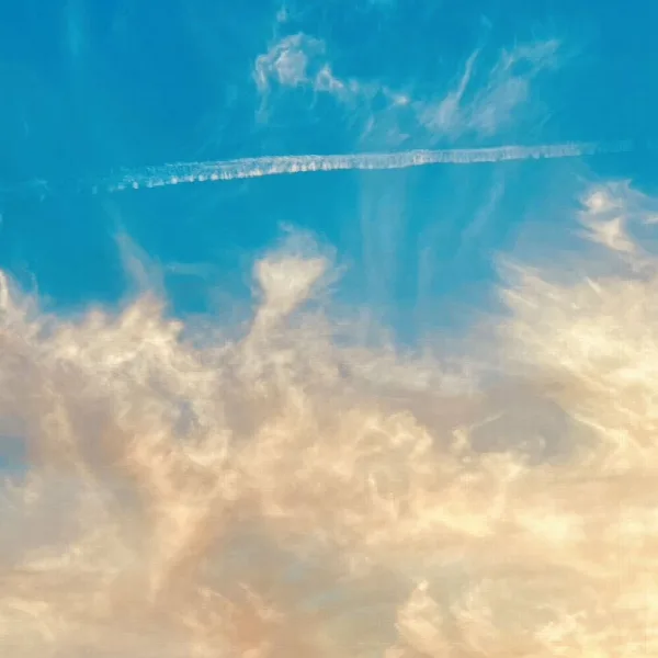 Pochette de It’s The End Of The World But It’s A Beautiful Day