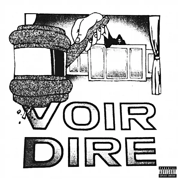 Pochette de VOIR DIRE