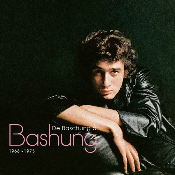 Pochette de De Baschung à Bashung