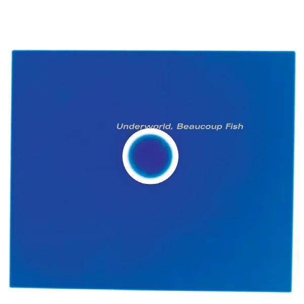 Pochette de Beaucoup Fish (Remastered)