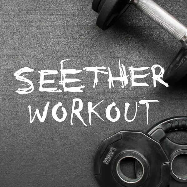 Pochette de Seether Workout