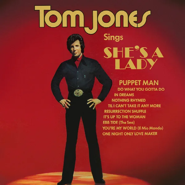Pochette de Tom Jones Sings She's A Lady