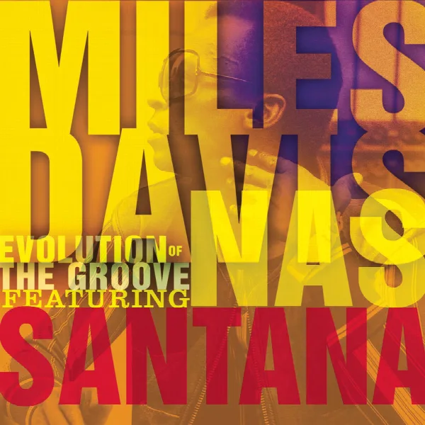 Pochette de Evolution Of The Groove