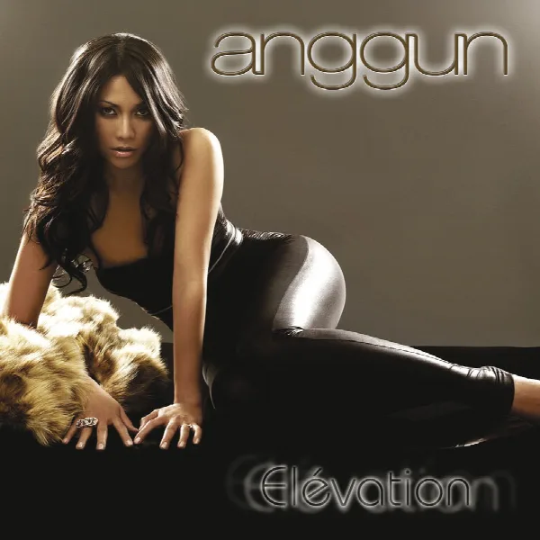 Pochette de Elevation