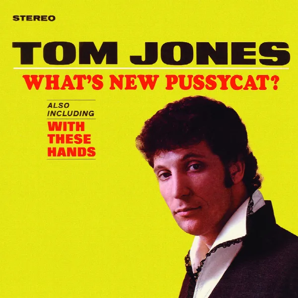 Pochette de What's New Pussycat