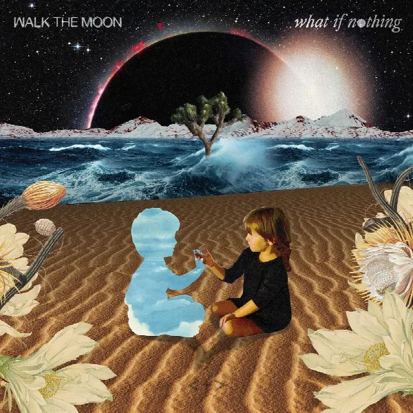 Pochette de What If Nothing