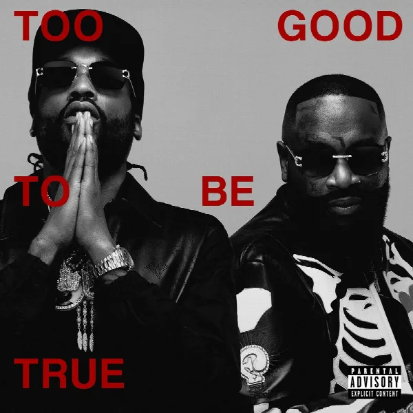 Pochette de Too Good To Be True