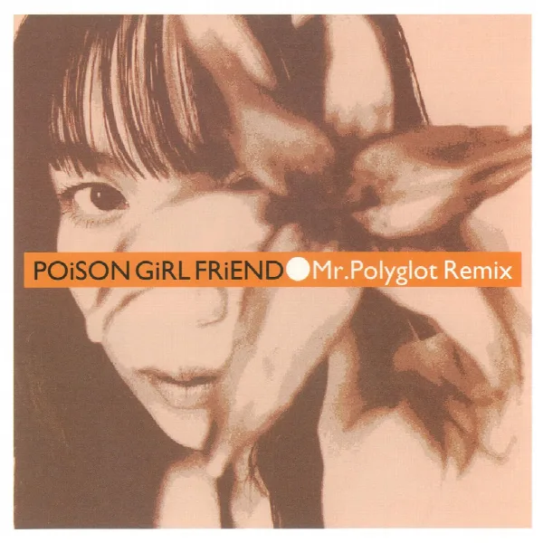 Pochette de Mr. Polyglot Remix