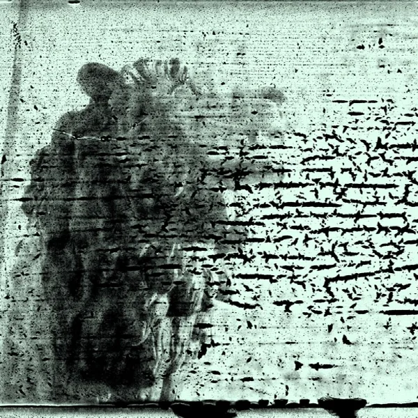 Pochette de Monuments to an Elegy