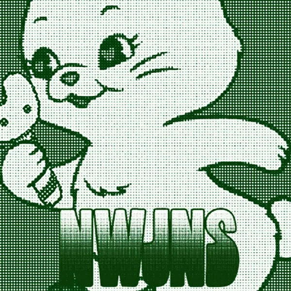 Pochette de NJWMX