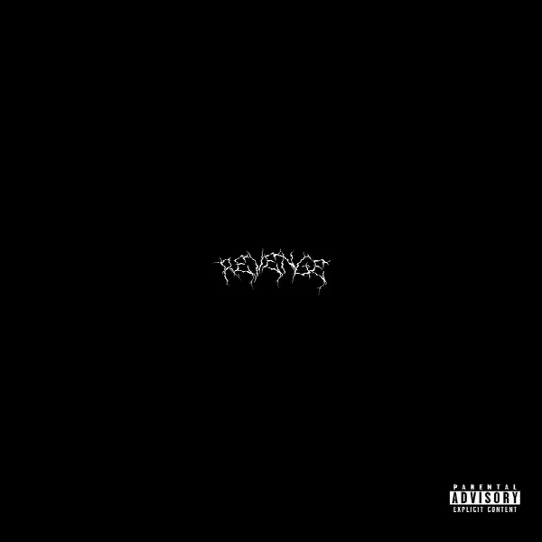 Pochette de Revenge