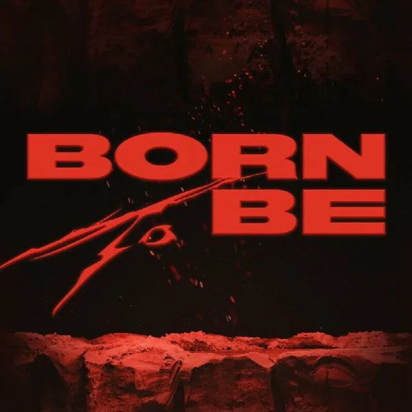 Pochette de BORN TO BE