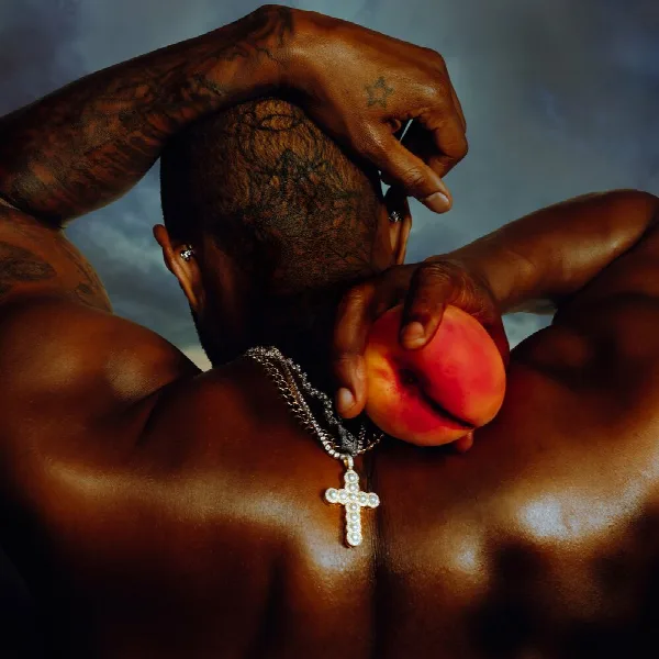Pochette de COMING HOME