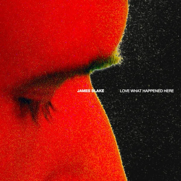Pochette de Love What Happened Here