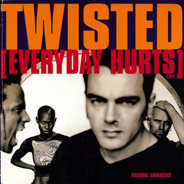 Pochette de Twisted - Everyday Hurts