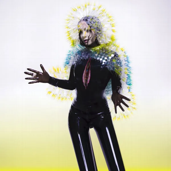 Pochette de Vulnicura