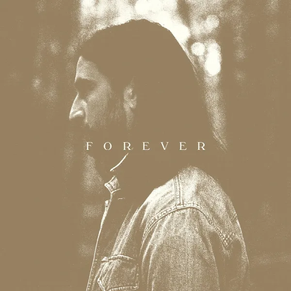 Pochette de Stick Season (Forever)