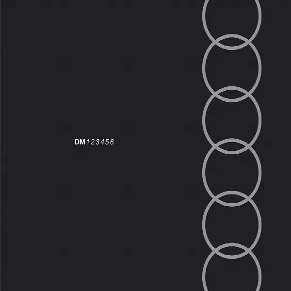 Pochette de DMBX1