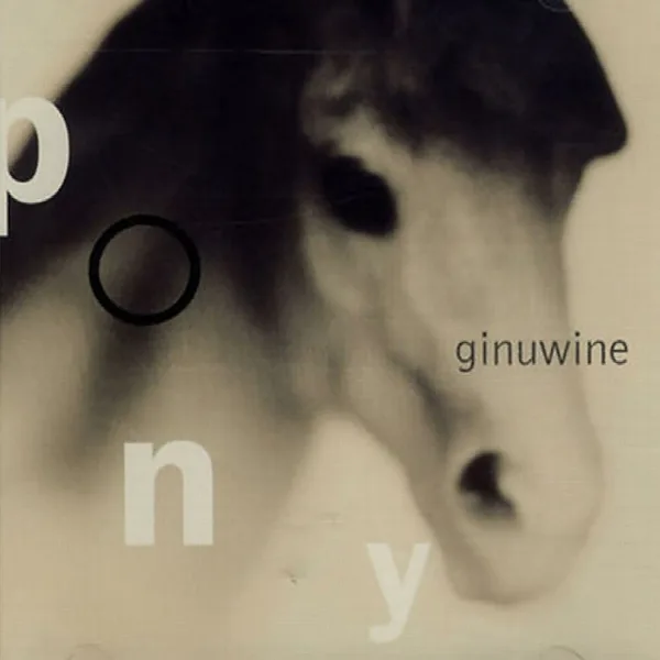 Pochette de Pony
