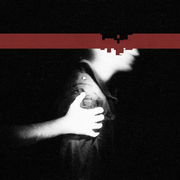Pochette de The Slip