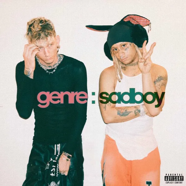 Pochette de genre : sadboy