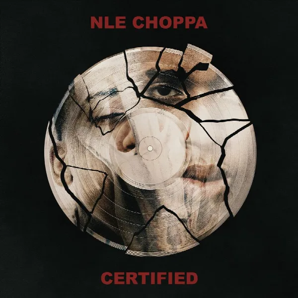 Pochette de Certified