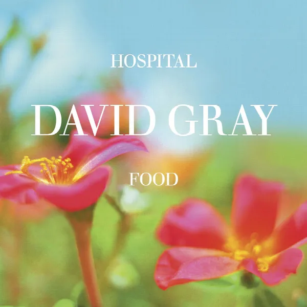 Pochette de Hospital Food, Pt. 2