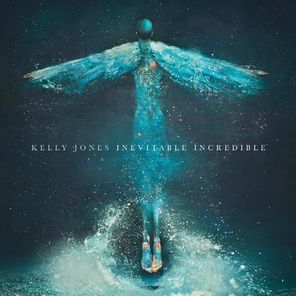 Pochette de Echowrecked