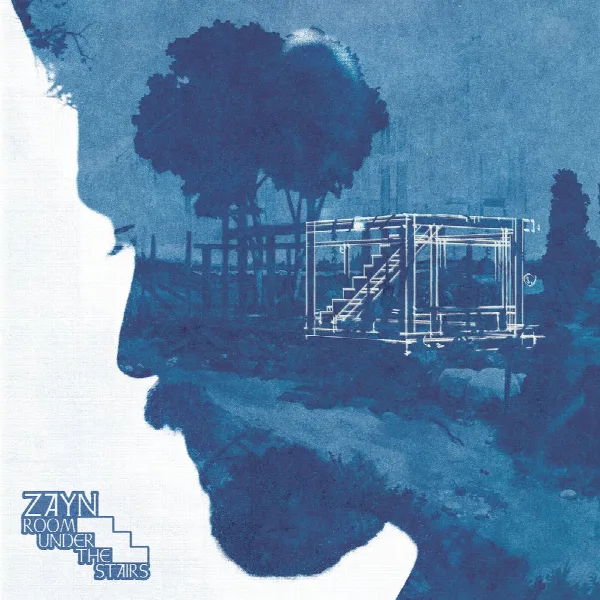 Pochette de ROOM UNDER THE STAIRS