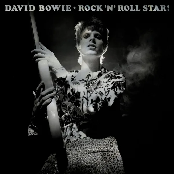 Pochette de Rock 'n' Roll Star!