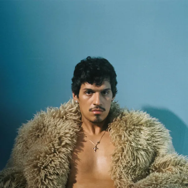 Pochette de God Said No
