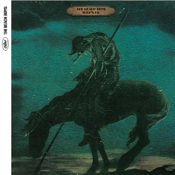 Pochette de Surf's Up