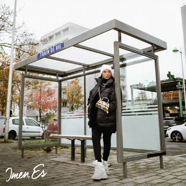 Pochette de Train de vie