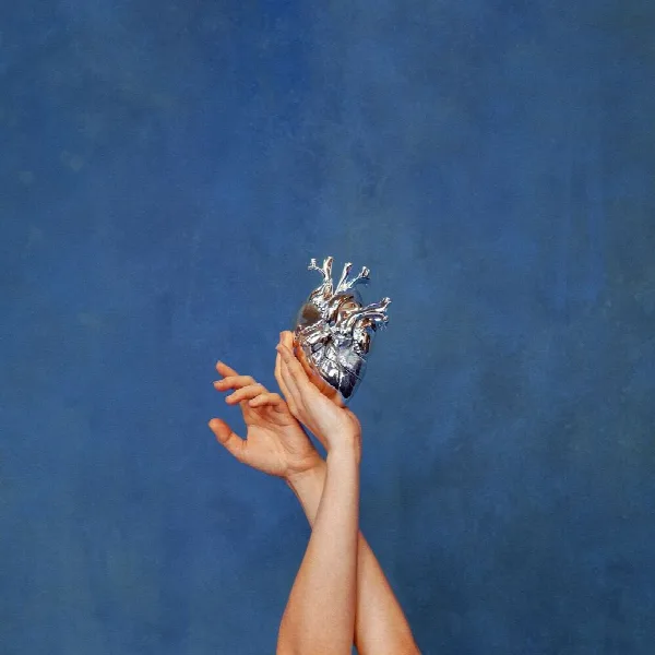 Pochette de What Happened To The Heart?