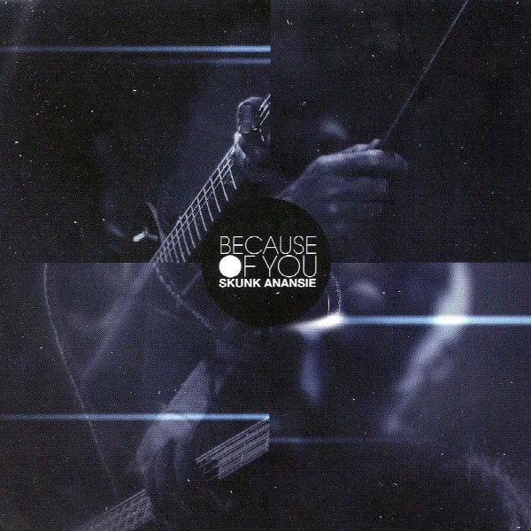 Pochette de Because Of You (Promo mixes)