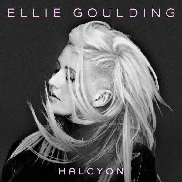 Pochette de Halcyon