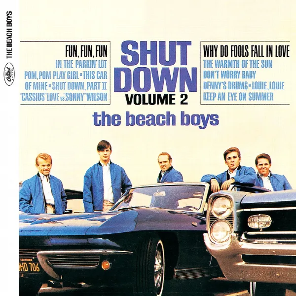 Pochette de Shut Down, Vol. 2 (Mono & Stereo)