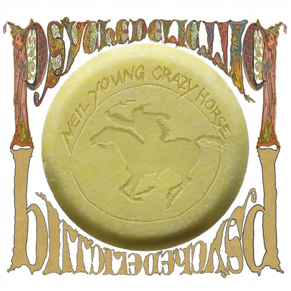 Pochette de Psychedelic Pill