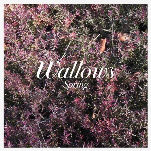 Pochette de Spring EP