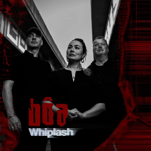 Pochette de Whiplash