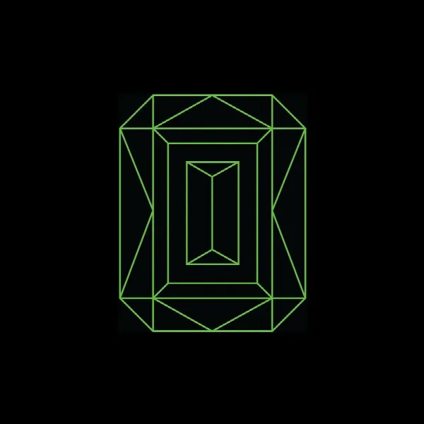 Pochette de Vide Noir