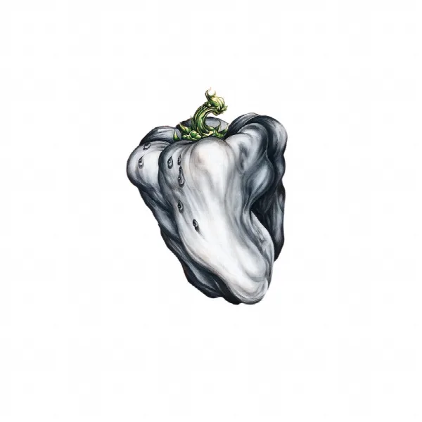 Pochette de White Pepper